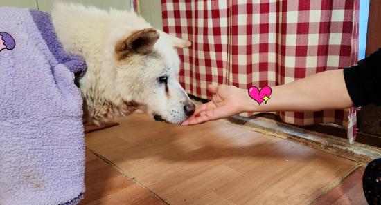 ̹:KakaoTalk_20250226_132122945_02 A_2.jpg